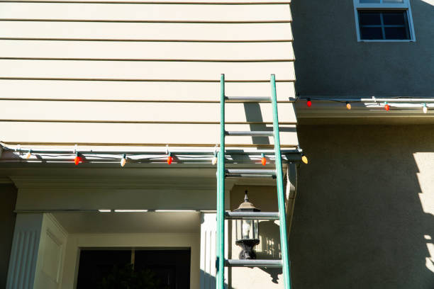 Best Siding Painting and Refinishing  in Emporia, VA