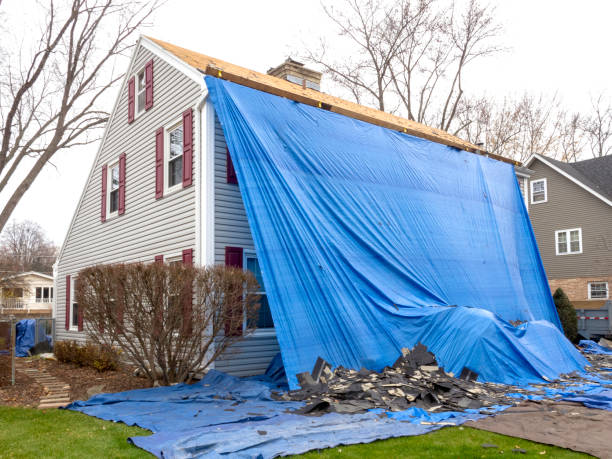 Best Steel Siding Installation  in Emporia, VA